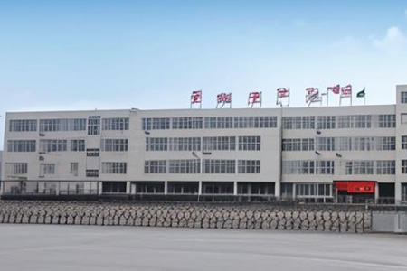广西新桂轮百亿橡胶产业园建设进展