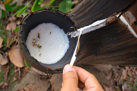 上海天然橡胶现货价格保持高位